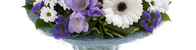 FloGifts