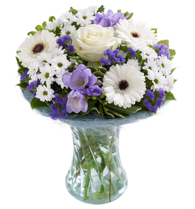 Baby Boy Perfect Gift