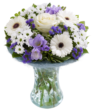 Baby Boy Perfect Gift