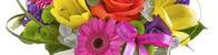 FloGifts
