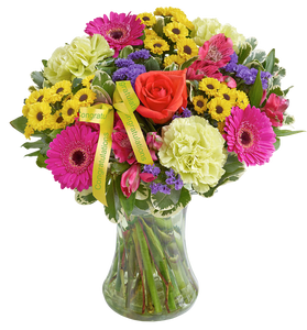 New Baby Vibrant Hand tied or Vase