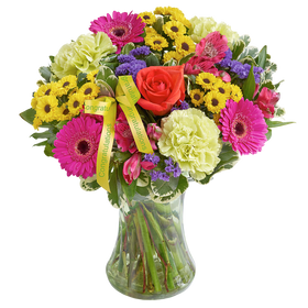 New Baby Vibrant Hand tied or Vase