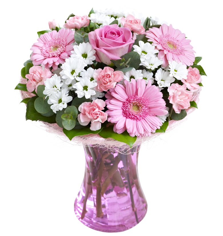 Pink Perfect Gift