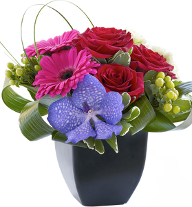Rose, Gerbera and Vanda Orchid Arrangement