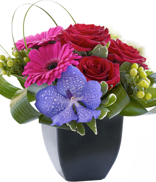 Rose, Gerbera and Vanda Orchid Arrangement